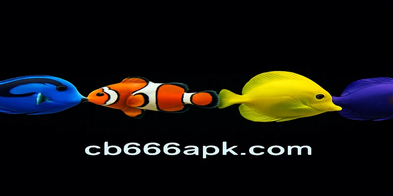 cb666 বৈশ্বিক লাইসেন্সিং ও দৃঢ় নিরাপত্তা